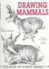 Drawing_mammals