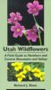 Utah_Wildflowers