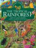The_tropical_rainforest