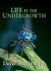 Life_in_the_undergrowth