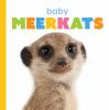 Baby_meerkats