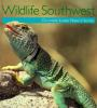 Wildlife_Southwest