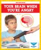 Your_brain_when_you_re_angry