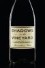 Shadows_in_the_vineyard