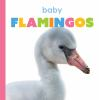 Baby_flamingos