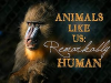 Animals_like_us