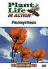 Plant_Life_In_Action__Photosynthesis