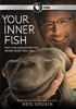 Your_inner_fish