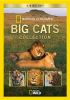 Big_cats_collection