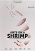 Ants_on_a_shrimp