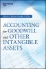 Accounting_for_goodwill_and_other_intangible_assets
