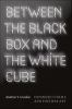 Between_the_black_box_and_the_white_cube