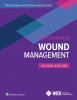 Wound__Ostomy__and_Continence_Nurses_Society_core_curriculum