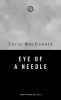 Eye_of_a_needle
