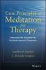 Code_principles_of_meditation_for_therapy