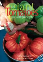 Giant_tomatoes