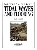 Tidal_waves_and_flooding