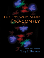 The_Boy_Who_Made_Dragonfly