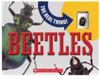 The_real_thing__beetles