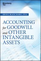 Accounting_for_goodwill_and_other_intangible_assets