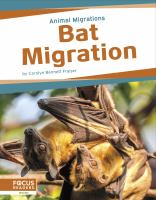 Bat_migration