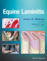 Equine_laminitis