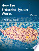 How_the_endocrine_system_works