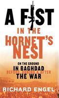 A_fist_in_the_hornet_s_nest