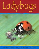 Ladybugs