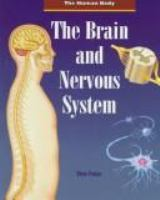 The_brain_and_nervous_system