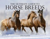The_ultimate_guide_to_horse_breeds