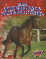 The_American_quarter_horse