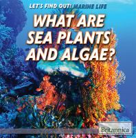 What_are_sea_plants_and_algae_