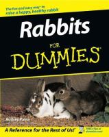 Rabbits_for_dummies