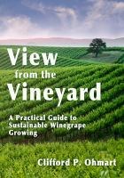 View_from_the_vineyard