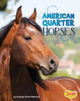 American_quarter_horses
