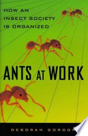 Ants_at_work