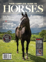 Your_Complete_Guide_to_Horses