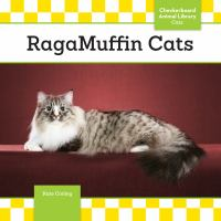 Ragamuffin_cats