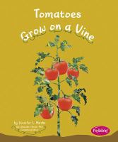 Tomatoes_grow_on_a_vine