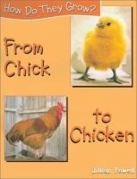 From_chick_to_chicken